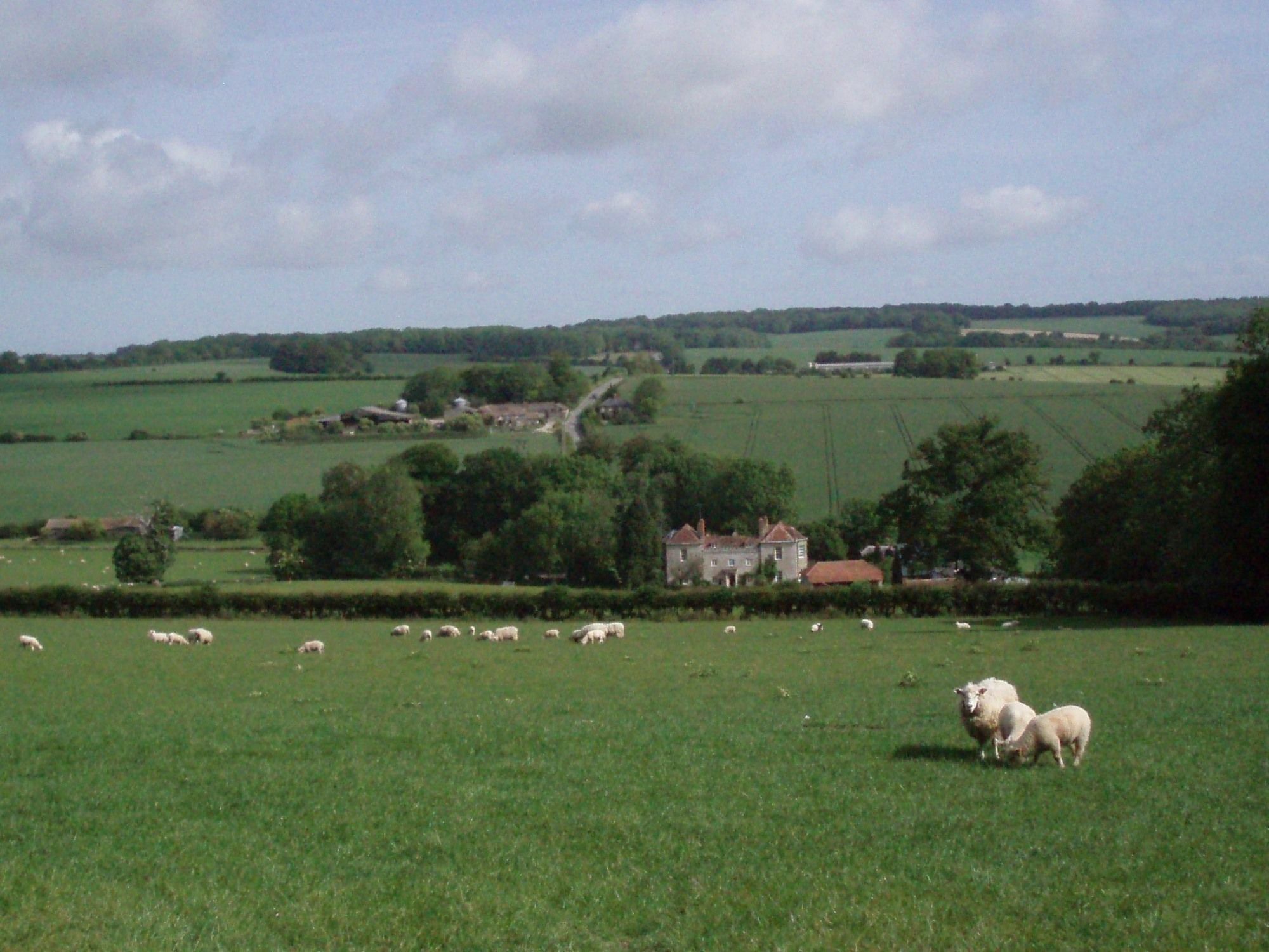 Marshwood Farm B&B And Shepherds Hut Dinton  Ngoại thất bức ảnh